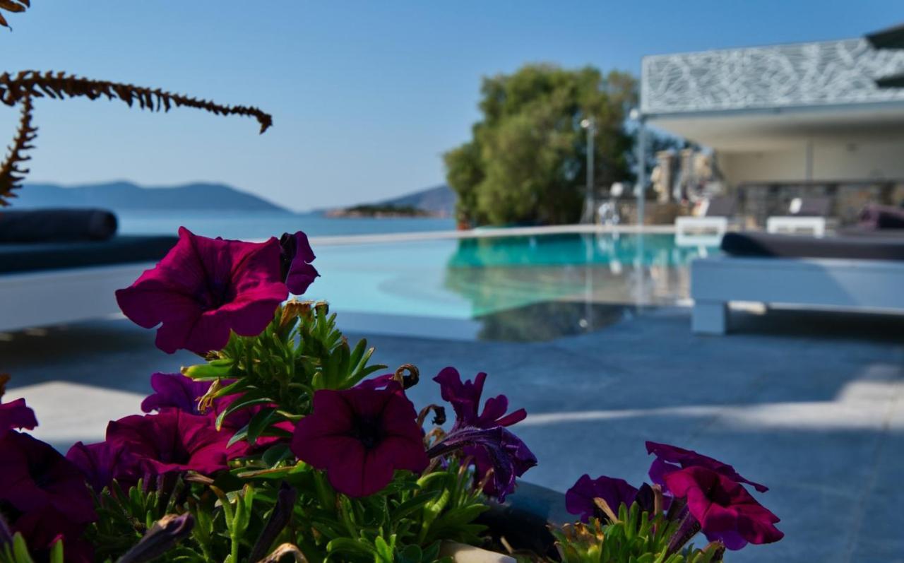 Dardiza Boutique Hotel Ermioni Zewnętrze zdjęcie